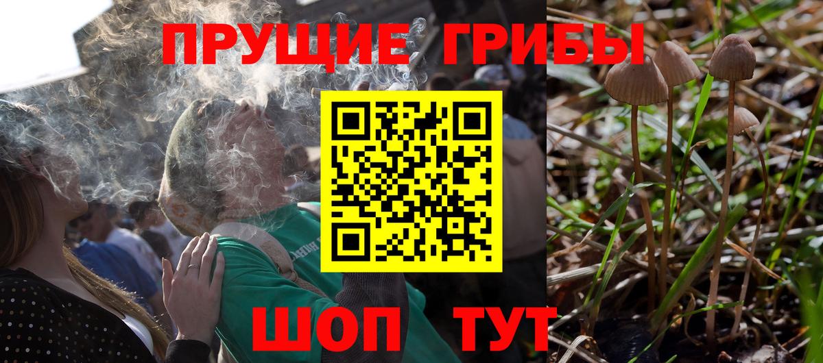 Галлюциногенные грибы Psilocybine cubensis  Псилоцибиновые грибы Magic Shrooms  Урюпинск  Вход с VPN 